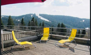 Appartement sur les hauteurs de Gérardmer
